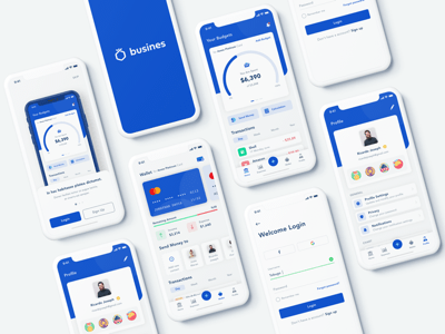 Business Banking App Concept
