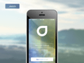 Sign In iOS7 Screen
